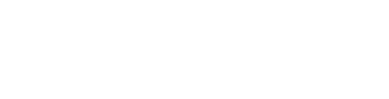 Straive logo